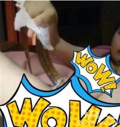 鳝鱼门照片,探寻水下美食的神秘世界