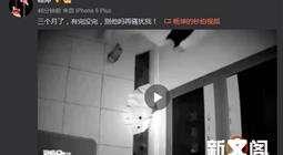 蹲门口照片,捕捉日常生活的温馨瞬间