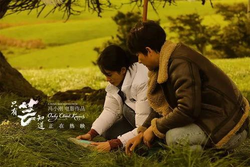 只有芸知道背景乐,唤醒尘封记忆的岁月之歌