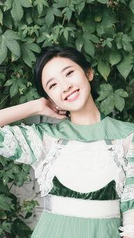 明星叶,璀璨星途，闪耀舞台