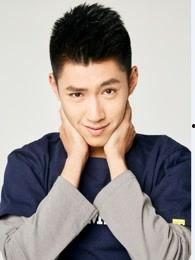 张力文资料,探索文学与现实的交织之美