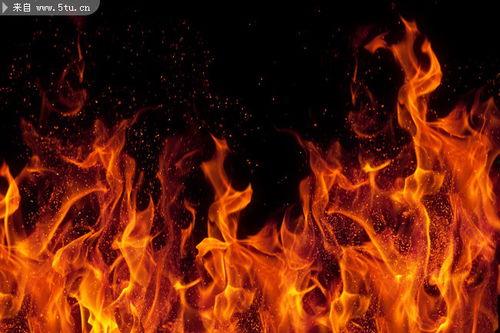 带火的图片,揭秘网络热点的瞬间魅力