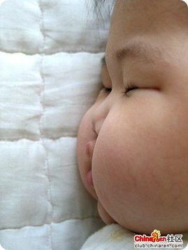 会计的搞笑图片