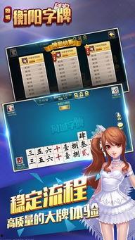 娱乐字牌,揭秘字牌世界的趣味与智慧