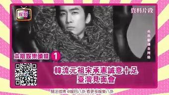 台湾佬中文娱乐图片,视觉盛宴背后的故事